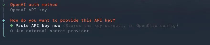粘贴 API Key